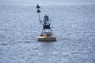 开云app-中方蝶泳入水角度更锐利？图解数据分析，中国蝶泳厉害吗