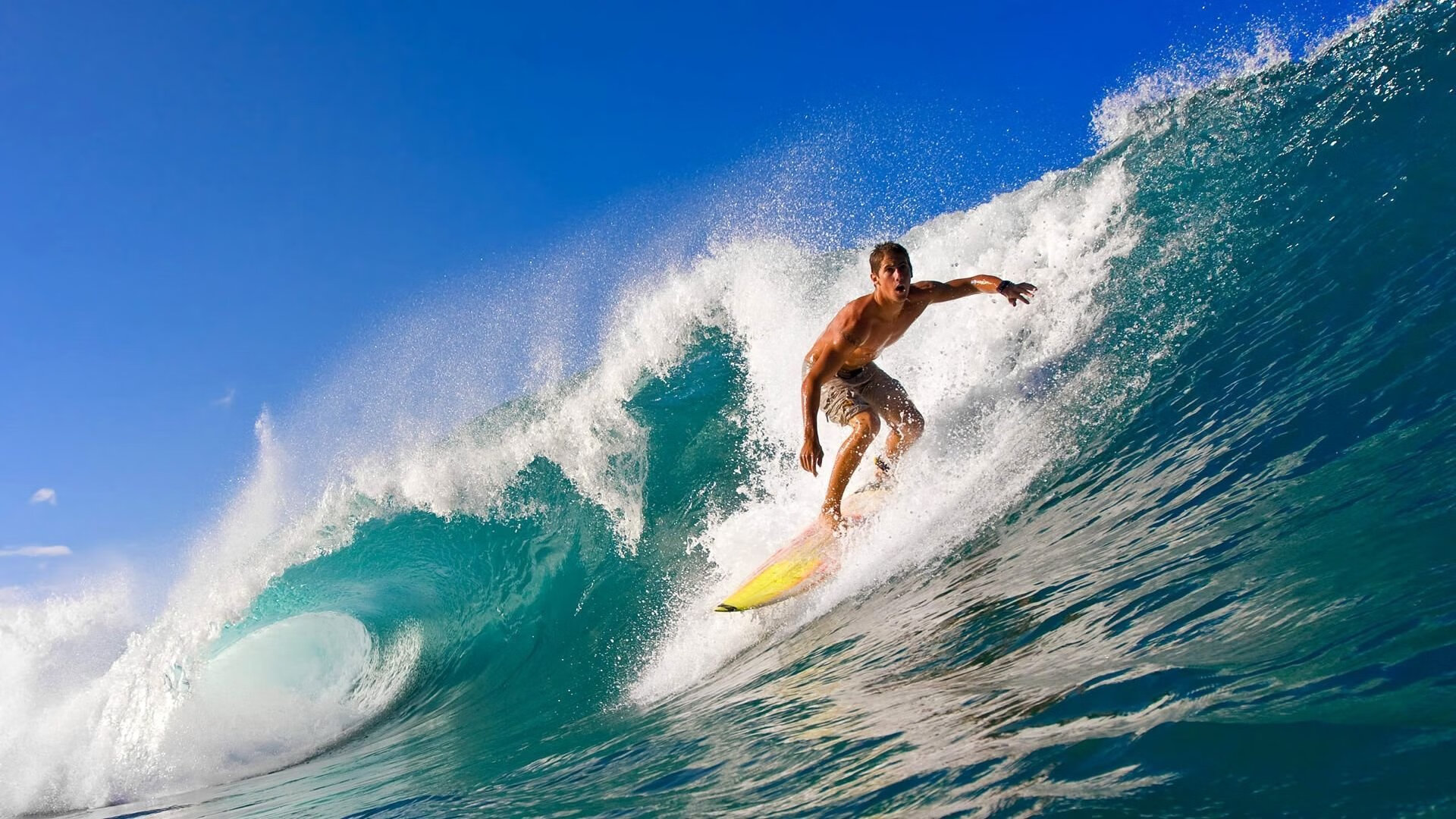 开云体育网址-城市马拉松成为区域联动品牌赛事，城市马拉松一般多长时间